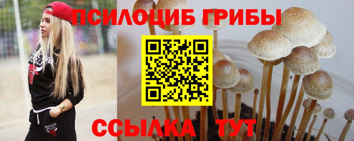 Галлюциногенные грибы прущие грибы Приморско-Ахтарск